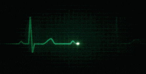 微信图片_20250114101514.gif