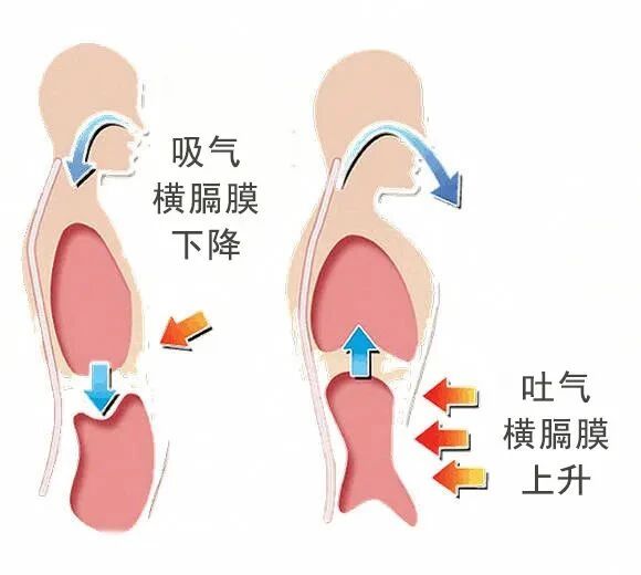 微信图片_2025-10-02_093648_799.jpg