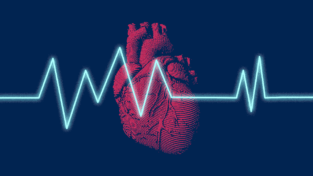 微信图片_2025-11-06_085804_100.jpg 微信图片_2025-11-06_085804_100.jpg