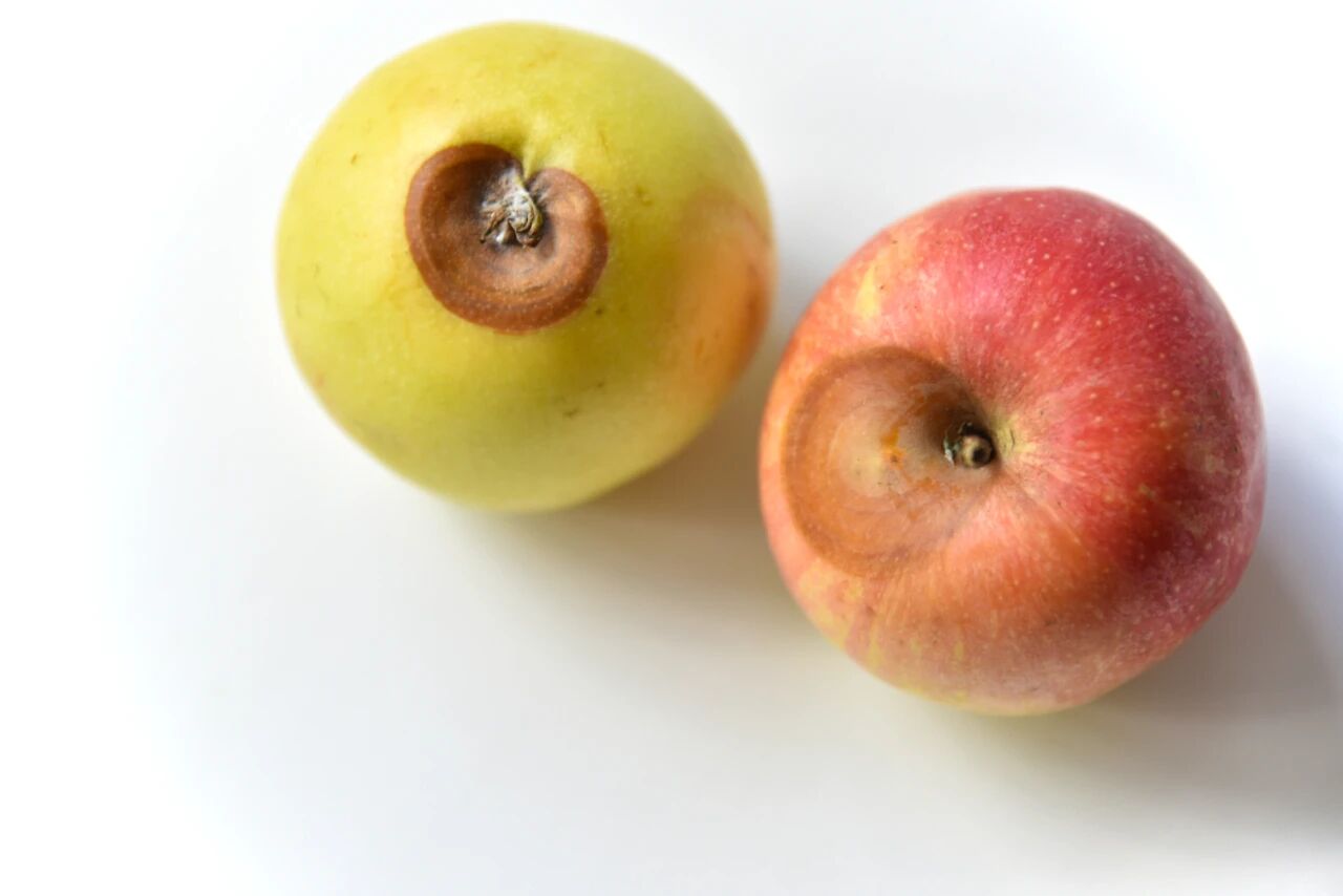 微信图片_2026-01-31_065923_023.jpg 微信图片_2026-01-31_065923_023.jpg