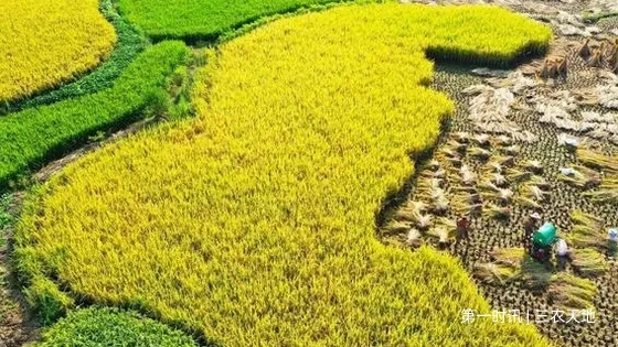src=https___gips1.baidu.com_it_u=571863725,4182017176&fm=3028&app=3028&f=PNG&fmt=auto&q=75&size=f1138_640&refer=http___www.baidu.webp.jpg