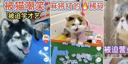 QQ截图20230411173313.png