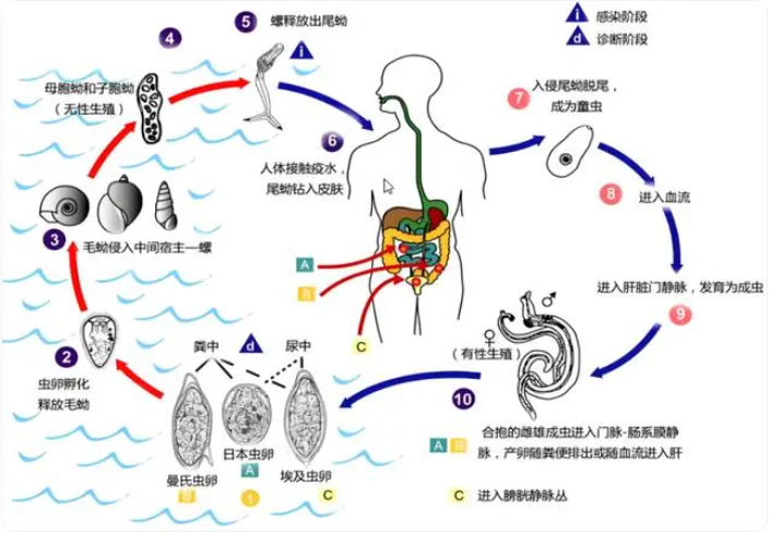 微信图片_20240416164620.png