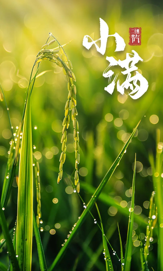 微信图片_20240520082004.png