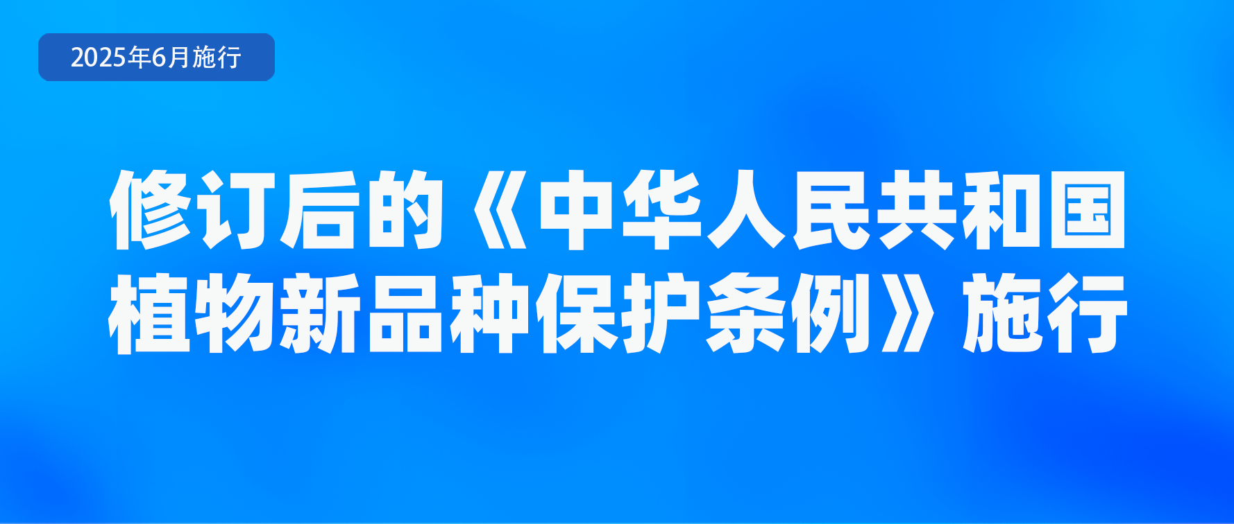微信图片_20250529085839.png