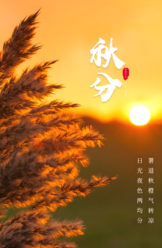 微信图片_20250923084732_253_21.png