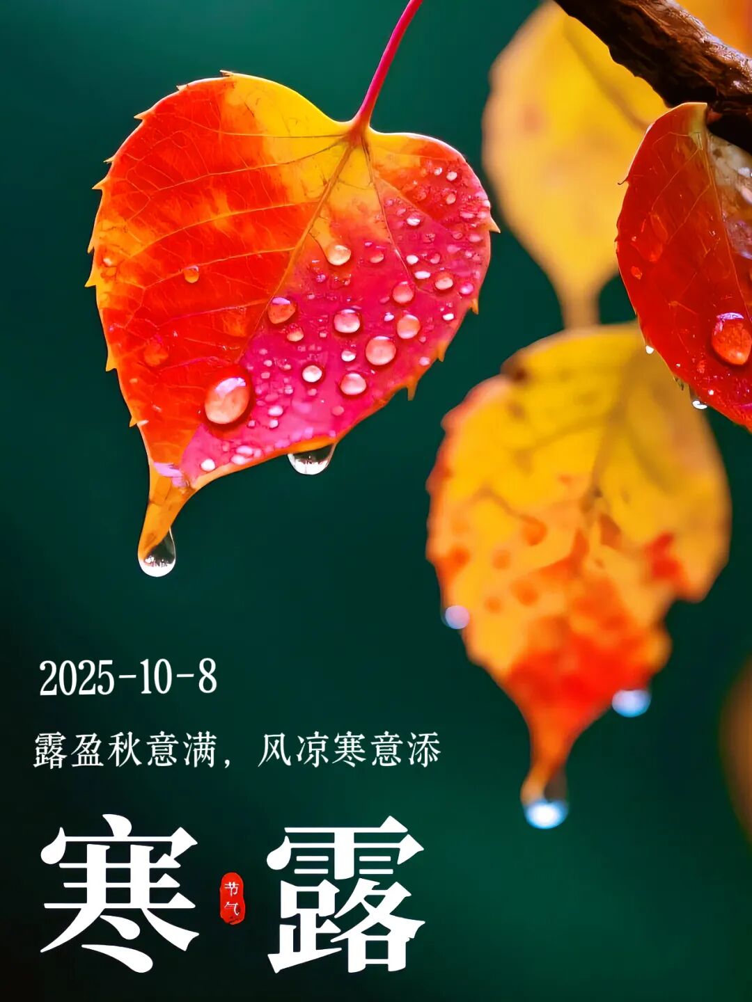 微信图片_20251008100632_458_21.jpg