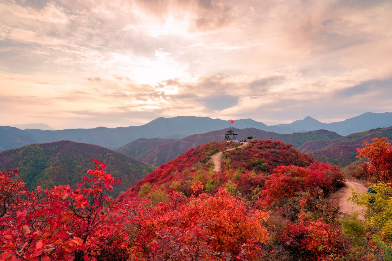 微信图片_2025-10-29_075627_658.jpg 微信图片_2025-10-29_075627_658.jpg