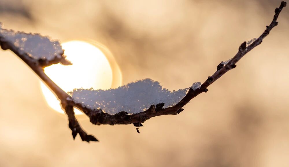 微信图片_2026-01-26_075346_123.jpg 微信图片_2026-01-26_075346_123.jpg