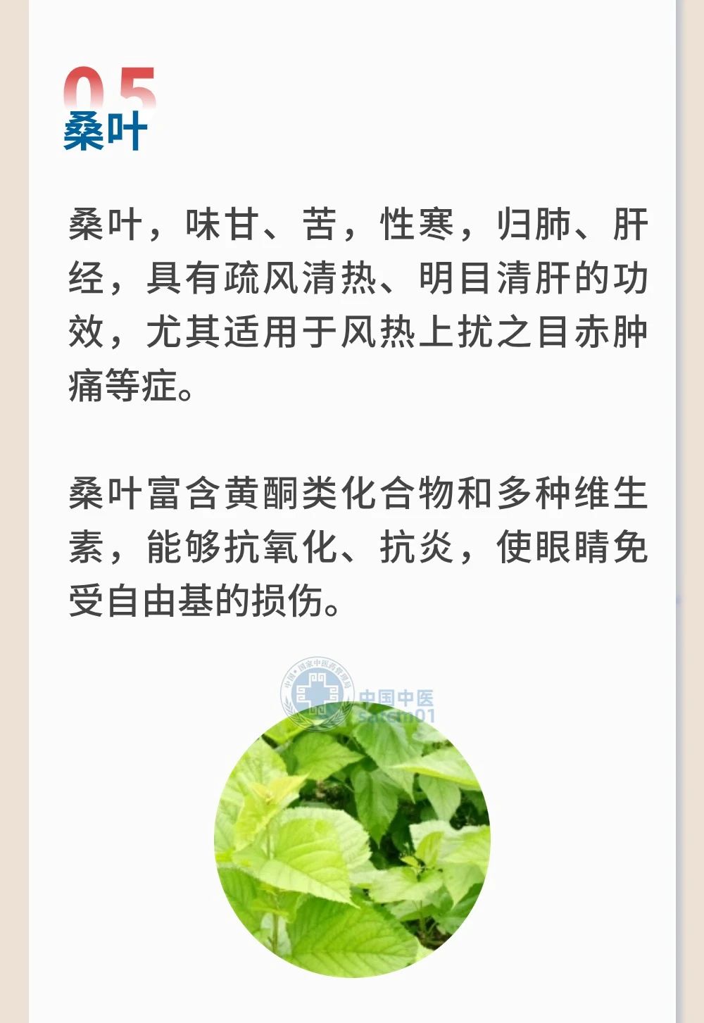 微信图片_20240801153215.jpg