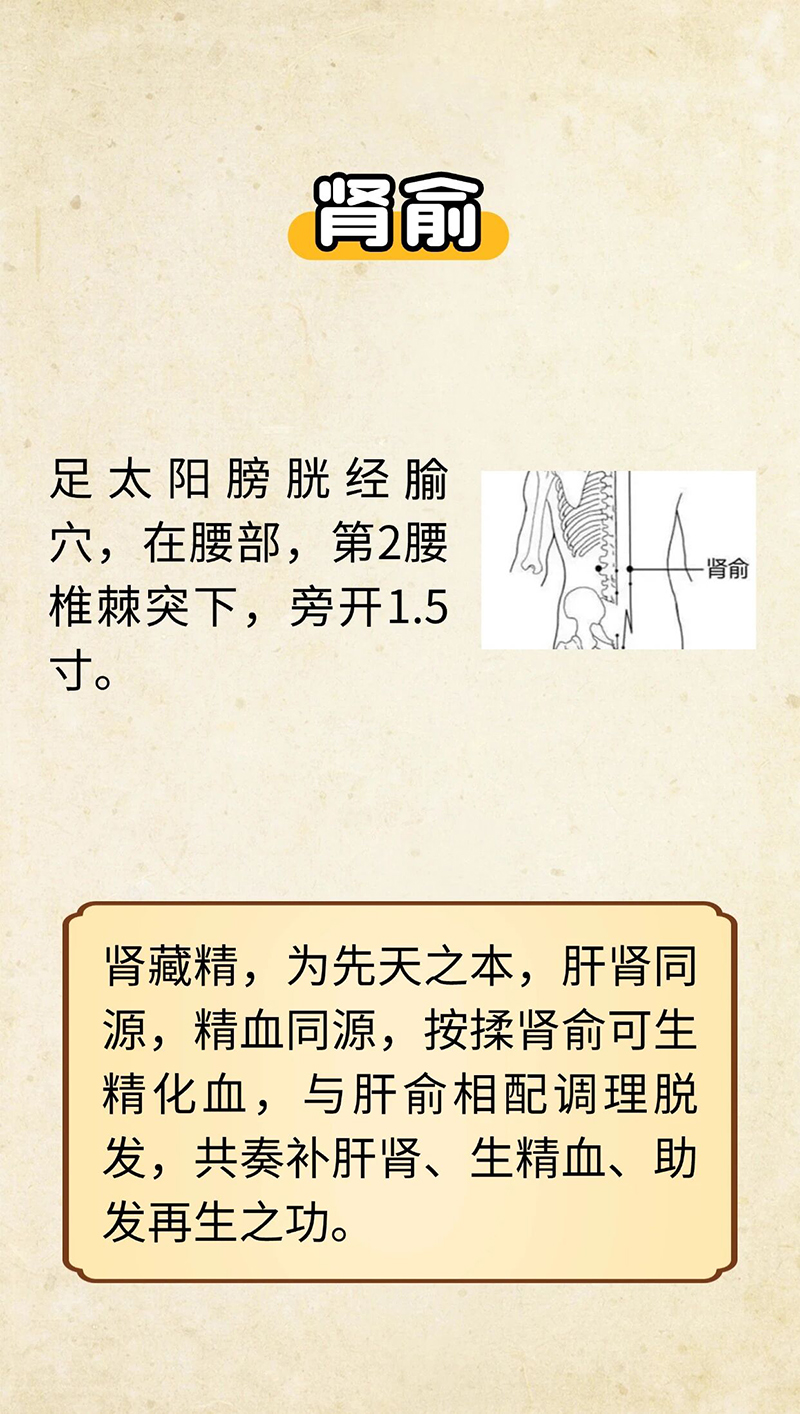 微信图片_2025-10-01_091636_663.jpg