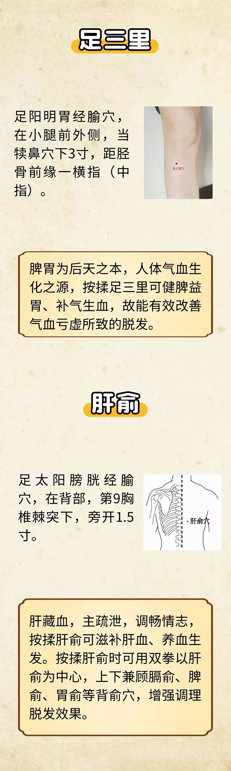 微信图片_2025-10-01_091624_591.jpg