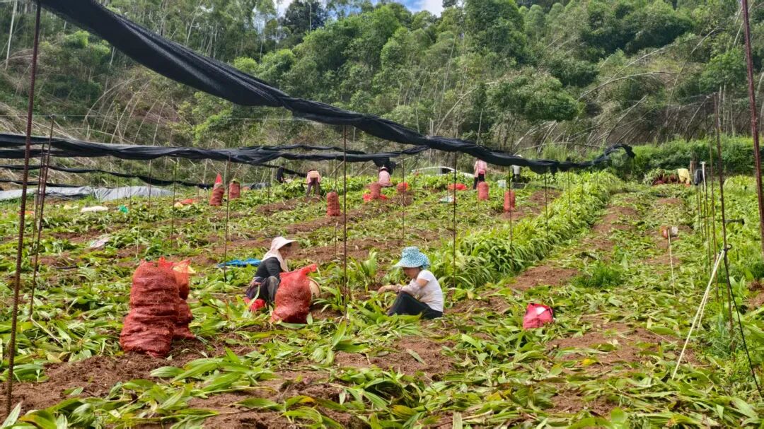 微信图片_2025-11-08_082836_711.jpg 微信图片_2025-11-08_082836_711.jpg