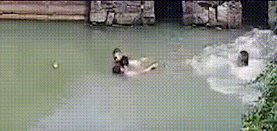 微信图片_20240802070458.gif