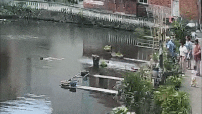 微信图片_20240804133107.gif