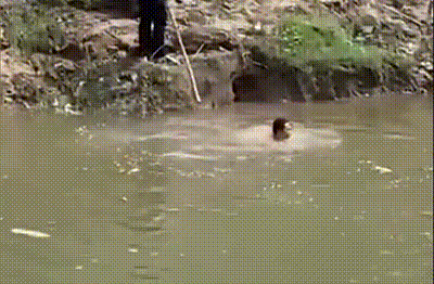 微信图片_20240805063846.gif