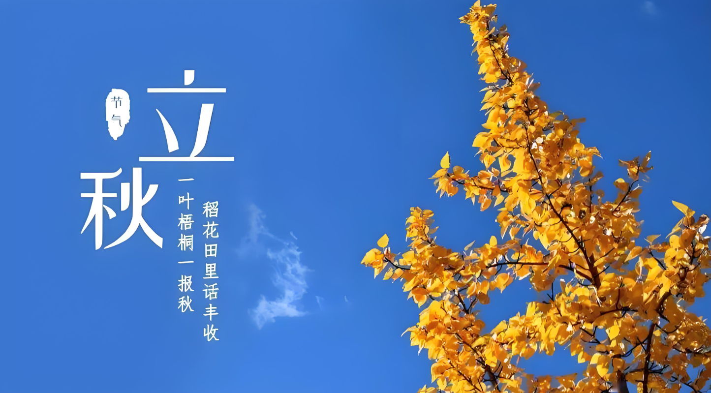 微信图片_20240807064101.png