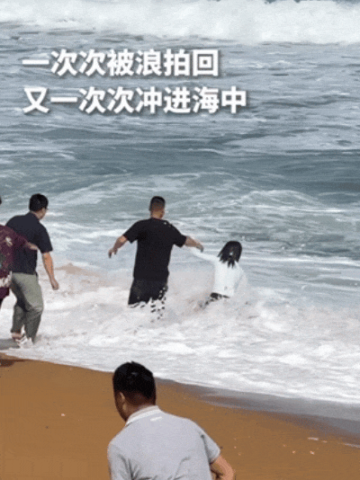 微信图片_20250203074639.gif