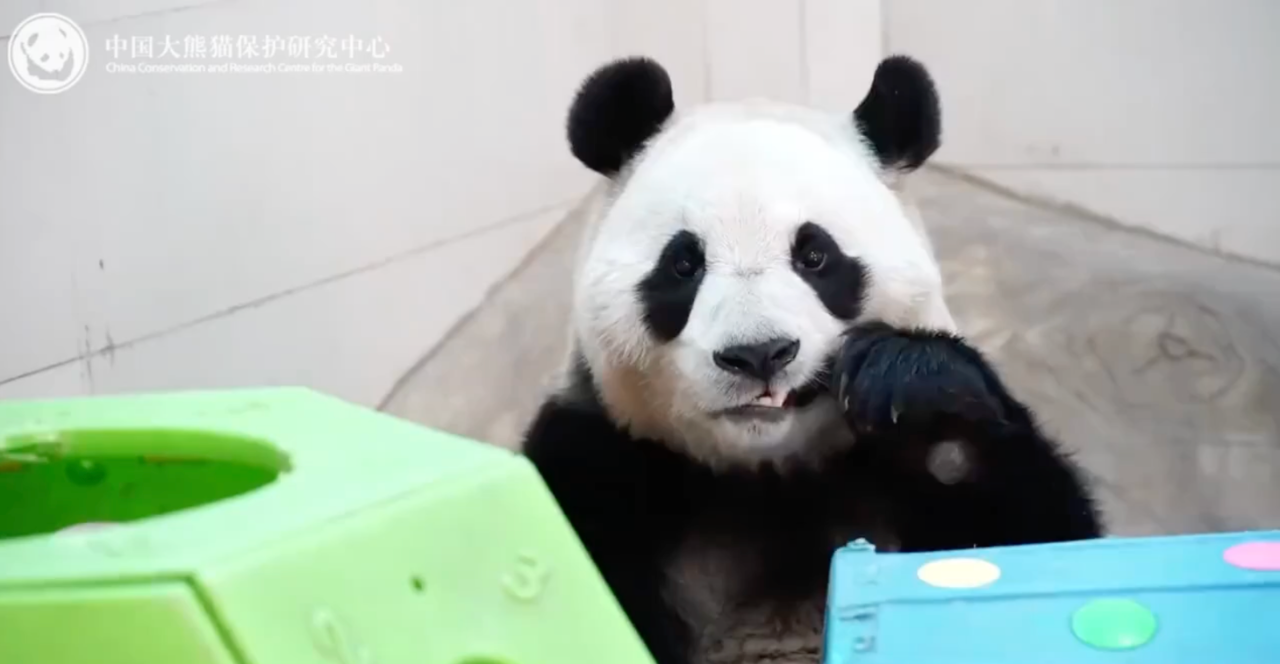 微信图片_20250326074242.png