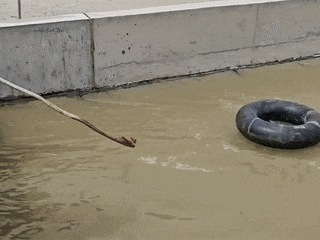 微信图片_20250510075427.gif