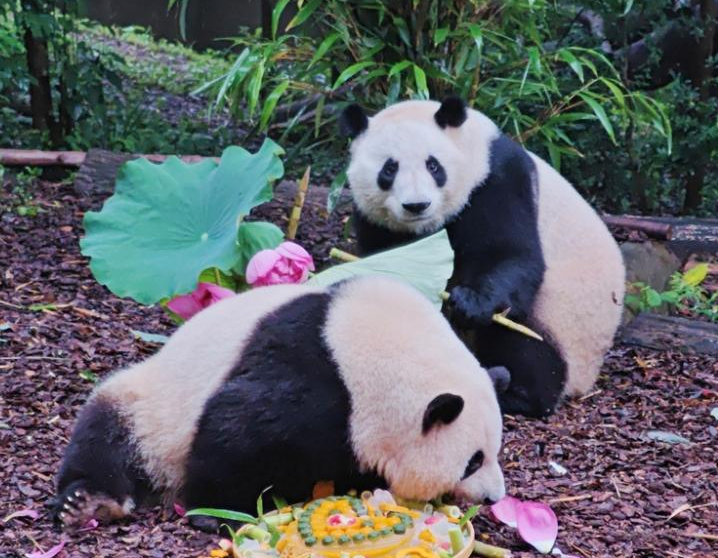 微信图片_20250705082928.png