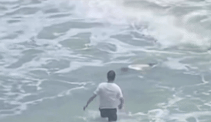 微信图片_20250716080242.gif