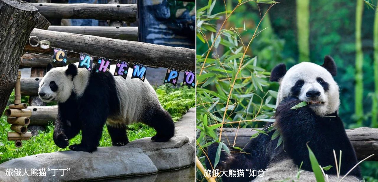 微信图片_20250802074915.jpg