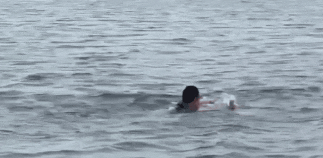 微信图片_20250803093317.gif