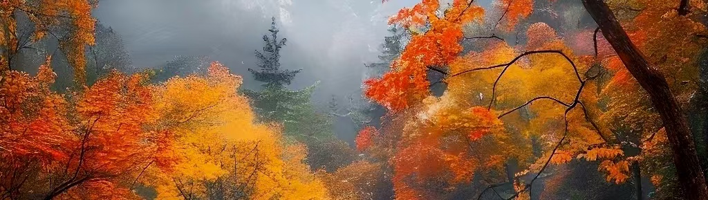 微信图片_20250915064635_174_21.jpg