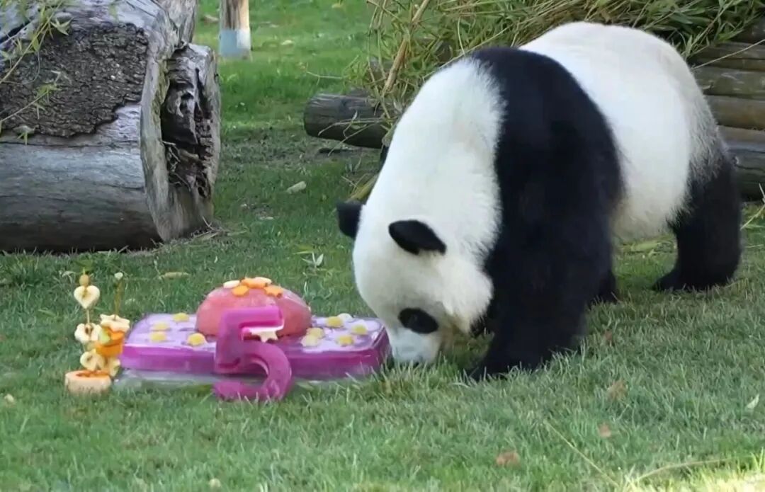 微信图片_2025-09-22_063256_844.jpg