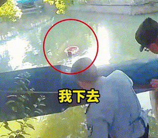 微信图片_2025-10-03_072255_408.jpg