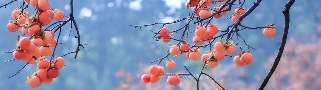 微信图片_20251029074029_864_21.jpg 微信图片_20251029074029_864_21.jpg