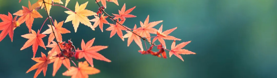 微信图片_20251030081553_878_21.jpg 微信图片_20251030081553_878_21.jpg