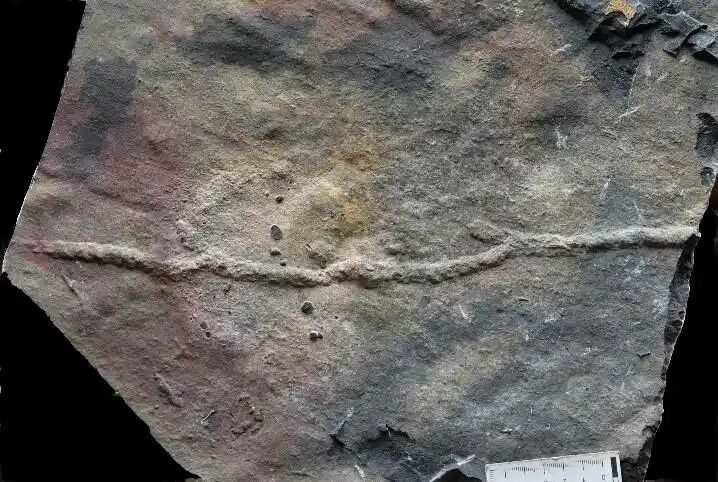 微信图片_2025-10-31_081402_768.jpg 微信图片_2025-10-31_081402_768.jpg