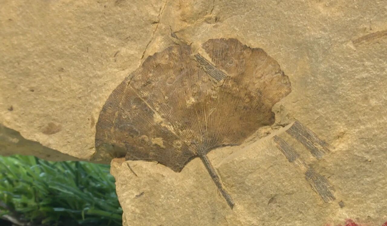 微信图片_2025-11-11_075941_156.jpg 微信图片_2025-11-11_075941_156.jpg