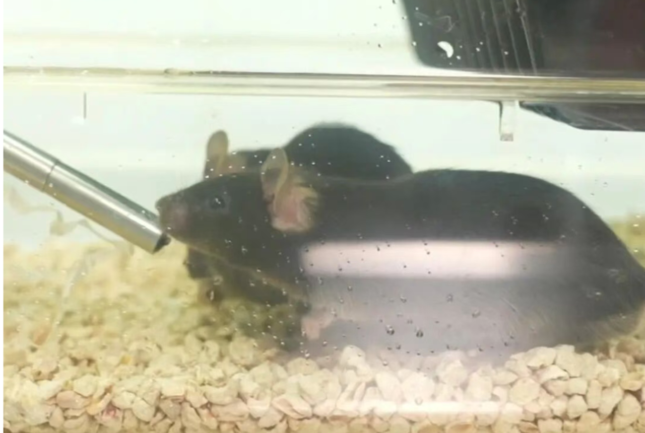 微信图片_2025-11-16_074734_367.png 微信图片_2025-11-16_074734_367.png