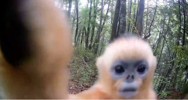 微信图片_2025-11-23_084432_015.png 微信图片_2025-11-23_084432_015.png