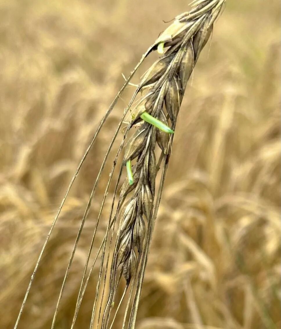 微信图片_2025-12-16_063838_757.jpg 微信图片_2025-12-16_063838_757.jpg