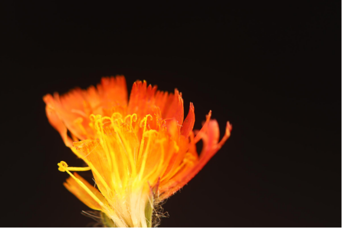 微信图片_2025-12-19_071632_430.png 微信图片_2025-12-19_071632_430.png