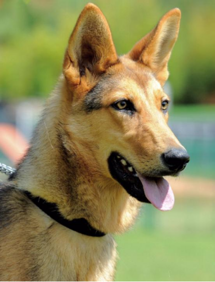 微信图片_2025-12-19_071624_750.png 微信图片_2025-12-19_071624_750.png