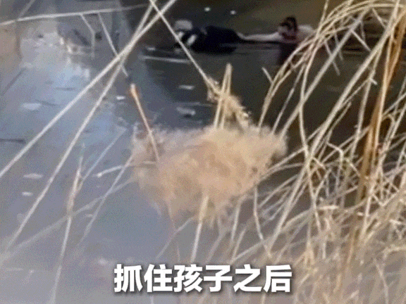 微信图片_2026-01-23_065915_166.jpg 微信图片_2026-01-23_065915_166.jpg