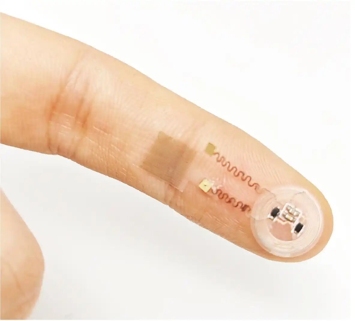 微信图片_2026-01-29_071130_904.jpg 微信图片_2026-01-29_071130_904.jpg