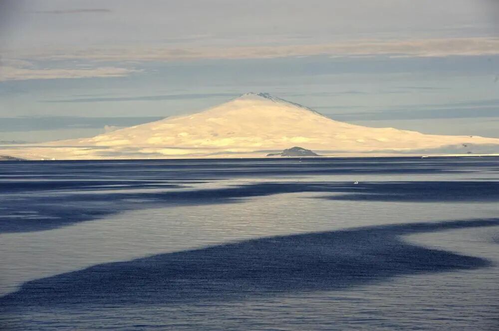 微信图片_2026-02-03_063238_080.jpg 微信图片_2026-02-03_063238_080.jpg