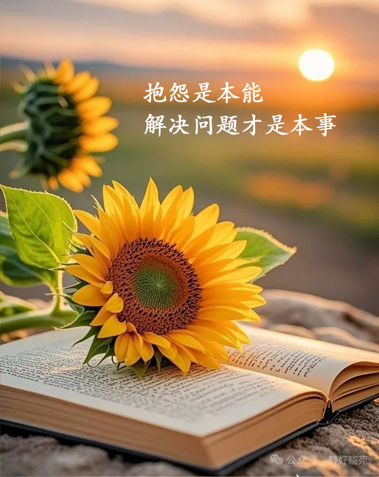 微信图片_20250703081554.jpg